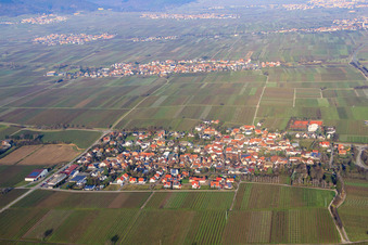 Village view in winter from the south in Walsheim in the state Rhineland-Palatinate, Germany