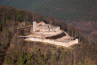 Aerial view of Rietburg Castle Ruins Rietburg in Rhodt unter Rietburg in the state Rhineland-Palatinate, Germany