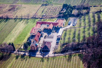Complex of the hotel building Wohlfuehlhotel Alte Rebschule and Gasthaus Sesel in Rhodt unter Rietburg in the state Rhineland-Palatinate, Germany out of the air
