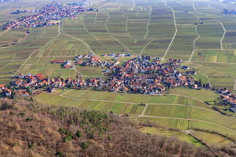 View of the winegrowing village in winter from the west in Weyher in der Pfalz in the state Rhineland-Palatinate, Germany
