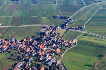 Wine Route with the parish church of the Visitation of Mary in Burrweiler in the state Rhineland-Palatinate, Germany
