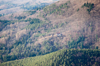 Ringelsberg Hut in Böchingen in the state Rhineland-Palatinate, Germany