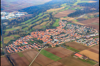 Village overview in winter from the south in Steinweiler in the state Rhineland-Palatinate, Germany