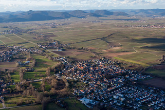 Bird's eye view of Town View of the streets and houses of the residential areas in the district Ingenheim in Billigheim-Ingenheim in the state Rhineland-Palatinate