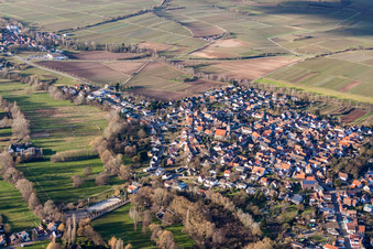 Town View of the streets and houses of the residential areas in the district Ingenheim in Billigheim-Ingenheim in the state Rhineland-Palatinate viewn from the air