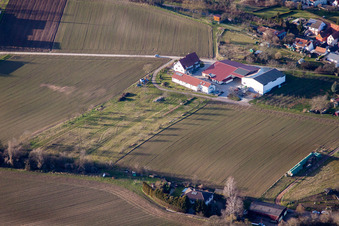 District Ingenheim in Billigheim-Ingenheim in the state Rhineland-Palatinate, Germany seen from above