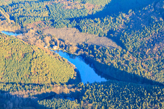 Swimming lake Seehofweiher / Portzbach in Erlenbach bei Dahn in the state Rhineland-Palatinate, Germany