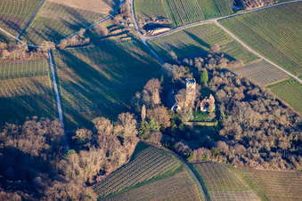 Aerial photograpy of Buildings and parks at the Chateau Saint Paul manor house on the Sonnenberg in Wissembourg in the state Bas-Rhin, France
