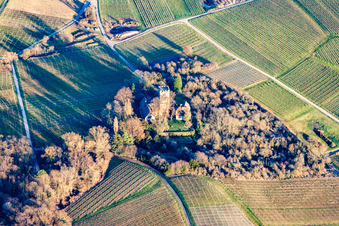 Oblique view of Buildings and parks at the Chateau Saint Paul manor house on the Sonnenberg in Wissembourg in the state Bas-Rhin, France