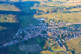 Aerial view of Wine-growing town in winter from the southwest in Oberotterbach in the state Rhineland-Palatinate, Germany
