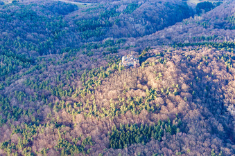 Climbing rock in Waldhambach in the state Rhineland-Palatinate, Germany