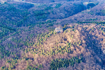Aerial view of Climbing rock in Waldhambach in the state Rhineland-Palatinate, Germany