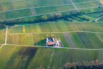 Aerial photograpy of Erlenwein winery in Wacholderhof in winter in Ilbesheim bei Landau in the state Rhineland-Palatinate, Germany