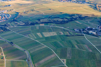 Kleine Kalmit nature reserve in winter from the northwest in Ilbesheim bei Landau in the state Rhineland-Palatinate, Germany
