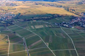 Aerial view of Kleine Kalmit nature reserve in winter from the northwest in Ilbesheim bei Landau in the state Rhineland-Palatinate, Germany