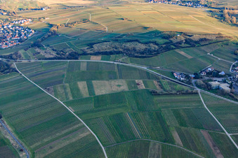 Aerial photograpy of Kleine Kalmit nature reserve in winter from the northwest in Ilbesheim bei Landau in the state Rhineland-Palatinate, Germany