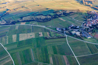 Oblique view of Kleine Kalmit nature reserve in winter from the northwest in Ilbesheim bei Landau in the state Rhineland-Palatinate, Germany