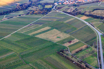 Aerial view of Cleared vineyard in Ilbesheim bei Landau in the state Rhineland-Palatinate, Germany
