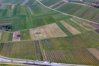Cleared vineyard in Ilbesheim bei Landau in the state Rhineland-Palatinate, Germany out of the air