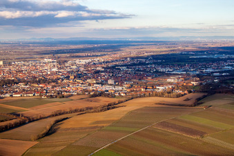 Drone image of Landau from the west in Landau in der Pfalz in the state Rhineland-Palatinate, Germany