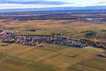 Aerial view of Village view in winter from the northwest in Insheim in the state Rhineland-Palatinate, Germany