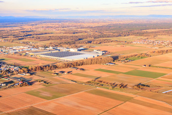 Aerial view of Industrial area Interpark from the southwest in winter in Offenbach an der Queich in the state Rhineland-Palatinate, Germany