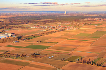 Village view in the evening from the southwest in Ottersheim bei Landau in the state Rhineland-Palatinate, Germany