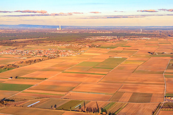 Rhine plain in winter in Ottersheim bei Landau in the state Rhineland-Palatinate, Germany