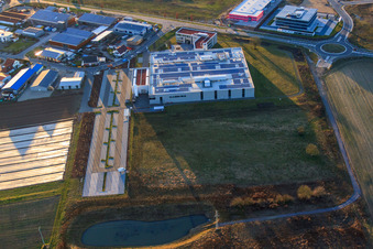 Bird's eye view of DBK EMS GmbH & Co. KG in the Nordring industrial park in Rülzheim in the state Rhineland-Palatinate, Germany