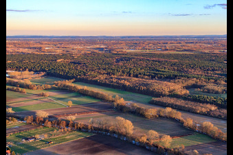 Aerial view of Model sports field in Rülzheim in the state Rhineland-Palatinate, Germany