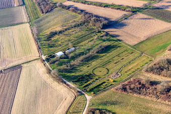 Oblique view of Tree nursery in Schweighofen in the state Rhineland-Palatinate, Germany