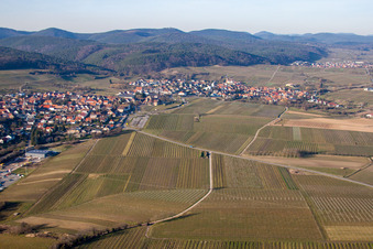 District Schweigen in Schweigen-Rechtenbach in the state Rhineland-Palatinate, Germany from a drone