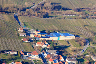 Emil Wissing GmbH Wissing Wines at the Almond Tree Grove in Oberotterbach in the state Rhineland-Palatinate, Germany