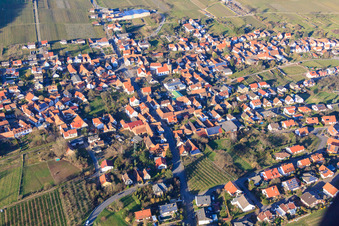 Weinstr in Oberotterbach in the state Rhineland-Palatinate, Germany from above
