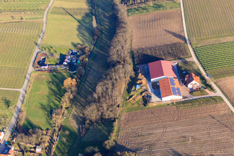 Winery Heinz & Thomas Beck in winter at Otterbach in Oberotterbach in the state Rhineland-Palatinate, Germany