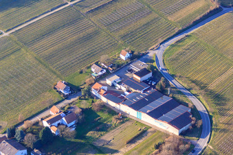 Aerial photograpy of Emil Wissing GmbH Wissing Wines at the Almond Tree Grove in Oberotterbach in the state Rhineland-Palatinate, Germany