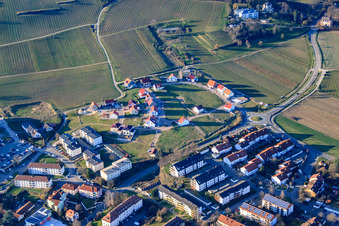 Oblique view of New development area Im Wingert in the district Pleisweiler in Bad Bergzabern in the state Rhineland-Palatinate, Germany