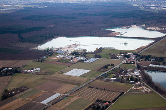 Gravel pit, quarry ponds from the southeast in the district Neumalsch in Malsch in the state Baden-Wuerttemberg, Germany