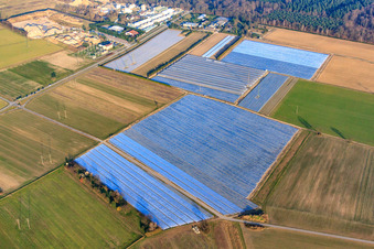 Vegetable and salad fields under foil in Durmersheim in the state Baden-Wuerttemberg, Germany
