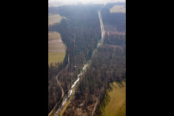 Durb.-Kammb.-Wannenbach canal in the forest in the district Urloffen in Appenweier in the state Baden-Wuerttemberg, Germany