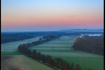 Otterbach lowlands in the morning mist in Kandel in the state Rhineland-Palatinate, Germany