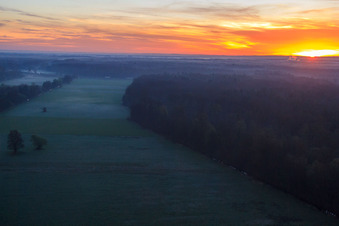 Otterbach lowlands in the morning mist at sunrise in Kandel in the state Rhineland-Palatinate, Germany