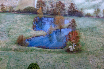 Oblique view of Biotope in the Otterbach lowlands in the morning mist in Minfeld in the state Rhineland-Palatinate, Germany
