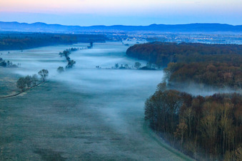 Otterbach lowlands in the morning mist in Freckenfeld in the state Rhineland-Palatinate, Germany