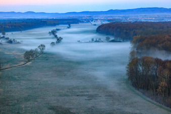 Aerial view of Otterbach lowlands in the morning mist in Freckenfeld in the state Rhineland-Palatinate, Germany