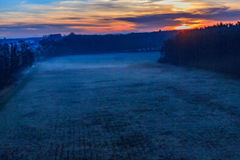 Oblique view of Otterbach lowlands in the morning mist at sunrise in Minfeld in the state Rhineland-Palatinate, Germany