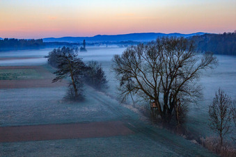 Aerial view of Neugraben in the Otterbach lowlands in the morning mist in Freckenfeld in the state Rhineland-Palatinate, Germany