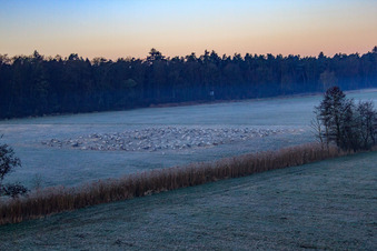 Oblique view of Neugraben in the Otterbach lowlands in the morning mist in Freckenfeld in the state Rhineland-Palatinate, Germany
