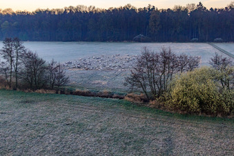 Neugraben in the Otterbach lowlands in the morning mist in Freckenfeld in the state Rhineland-Palatinate, Germany out of the air