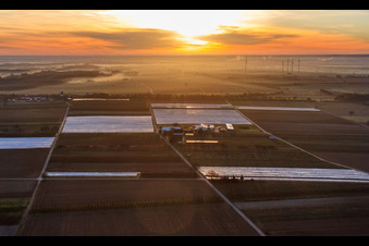 Farmer's garden at sunrise in Winden in the state Rhineland-Palatinate, Germany